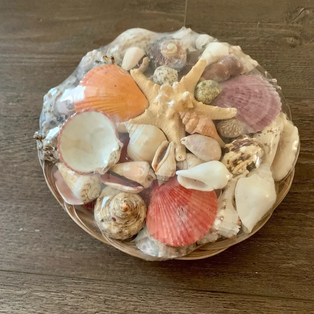 Beach Basket assorted sea Shells